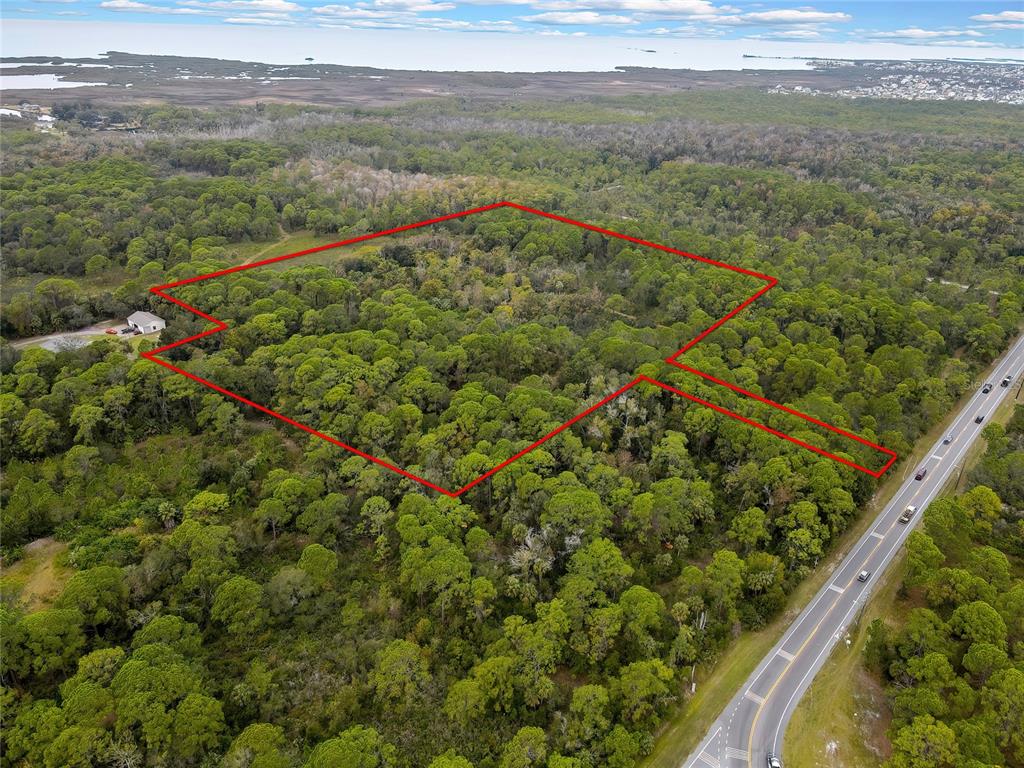 An aerial view shows a wooded plot of land outlined in red next to a highway — SHOAL LINE BOULEVARD, SPRING HILL, FL