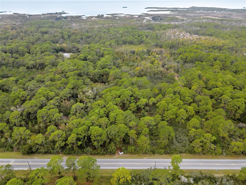 An aerial view shows a large, wooded lot bordering a paved road near the coast — SHOAL LINE BOULEVARD, SPRING HILL, FL