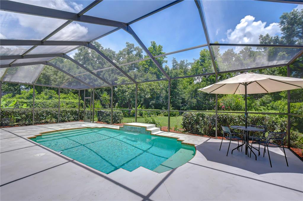 A screened-in patio features a swimming pool with a small waterfall and outdoor dining furniture — 3512 CORDGRASS DRIVE, VALRICO, FL
