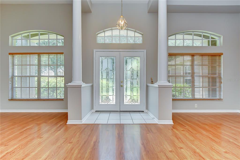 An entryway features hardwood floors, white columns, double glass doors, and arched windows — 3512 CORDGRASS DRIVE, VALRICO, FL
