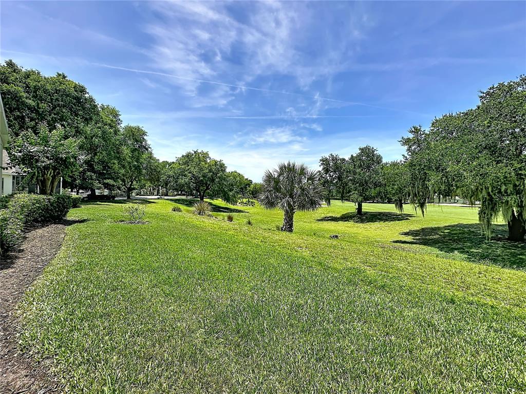 A grassy lawn features a central palm tree surrounded by mature trees under a blue sky — 3716 KINGSWOOD COURT, CLERMONT, FL