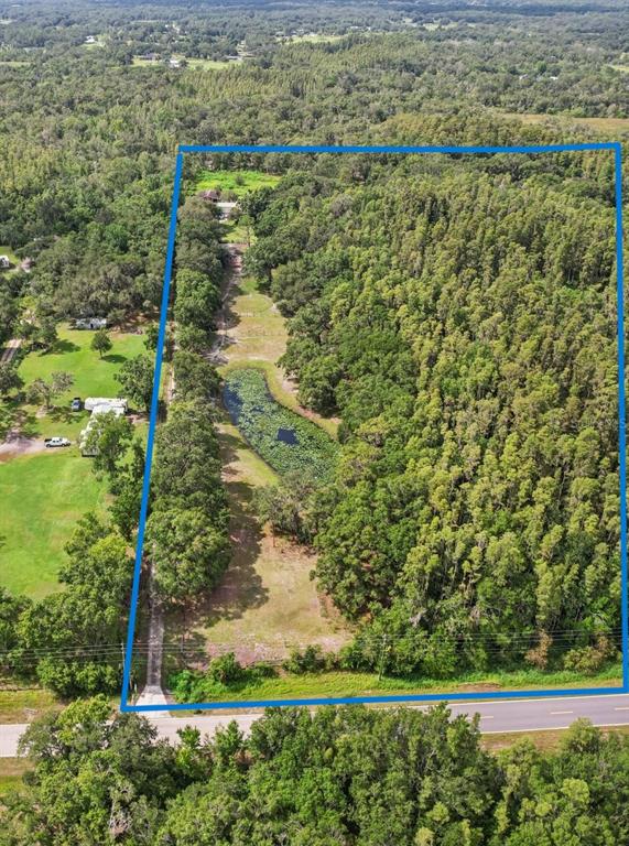 An aerial view shows a rectangular plot of land with a pond and dense trees — 5321 BRUTON ROAD, PLANT CITY, FL