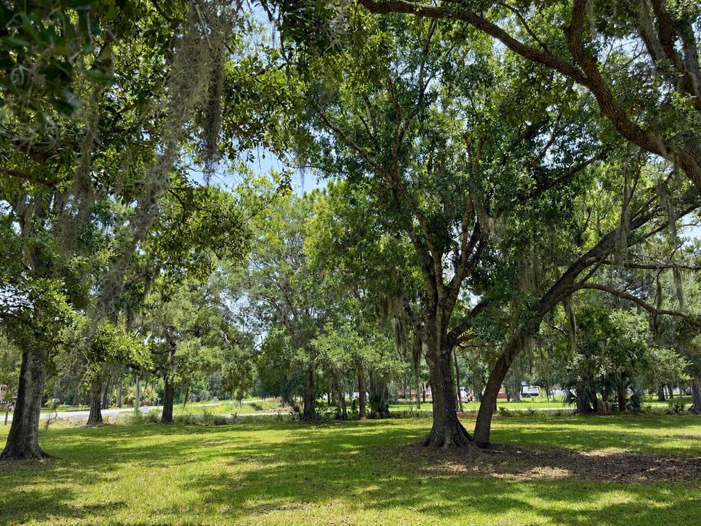 A grassy yard with several large, moss-draped oak trees under a bright blue sky — 545 CHASE HAMMOCK ROAD, MERRITT ISLAND, FL