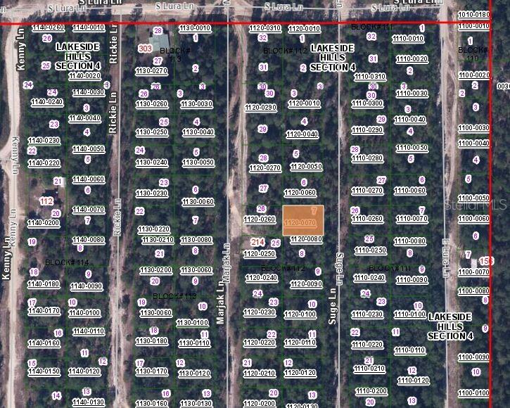 313 SUGE LANE, FLORAHOME, FL — photo 3 of 3