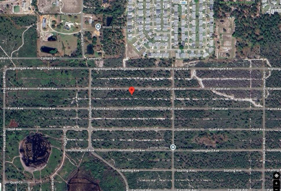 This is an aerial map view of a residential area with undeveloped, wooded lots — 629 PARAKEET AVENUE, SEBRING, FL