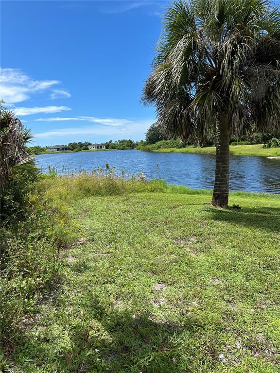 A grassy yard leads to a pond with a palm tree in the foreground — 158 COUGAR WAY, ROTONDA WEST, FL