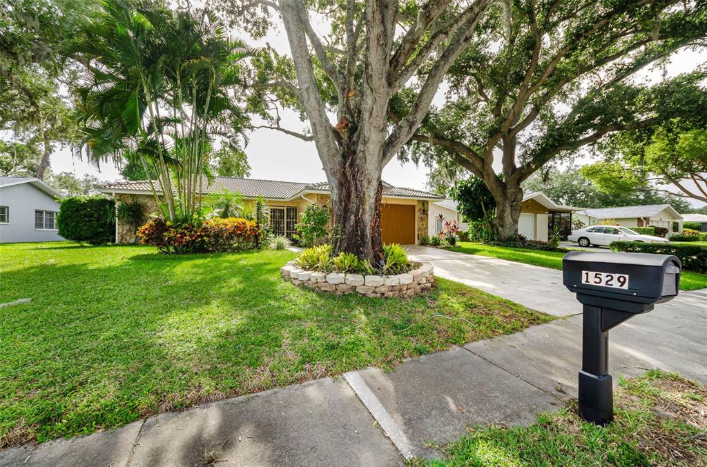 A beige house exterior features a decorative metal security door and a small concrete walkway — 1529 E DORCHESTER DRIVE, PALM HARBOR, FL