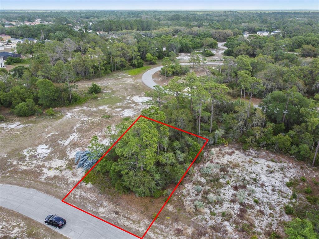 An aerial view shows a vacant, wooded residential lot outlined in red along a paved road — 1315 HOMOSASSA COURT, KISSIMMEE, FL