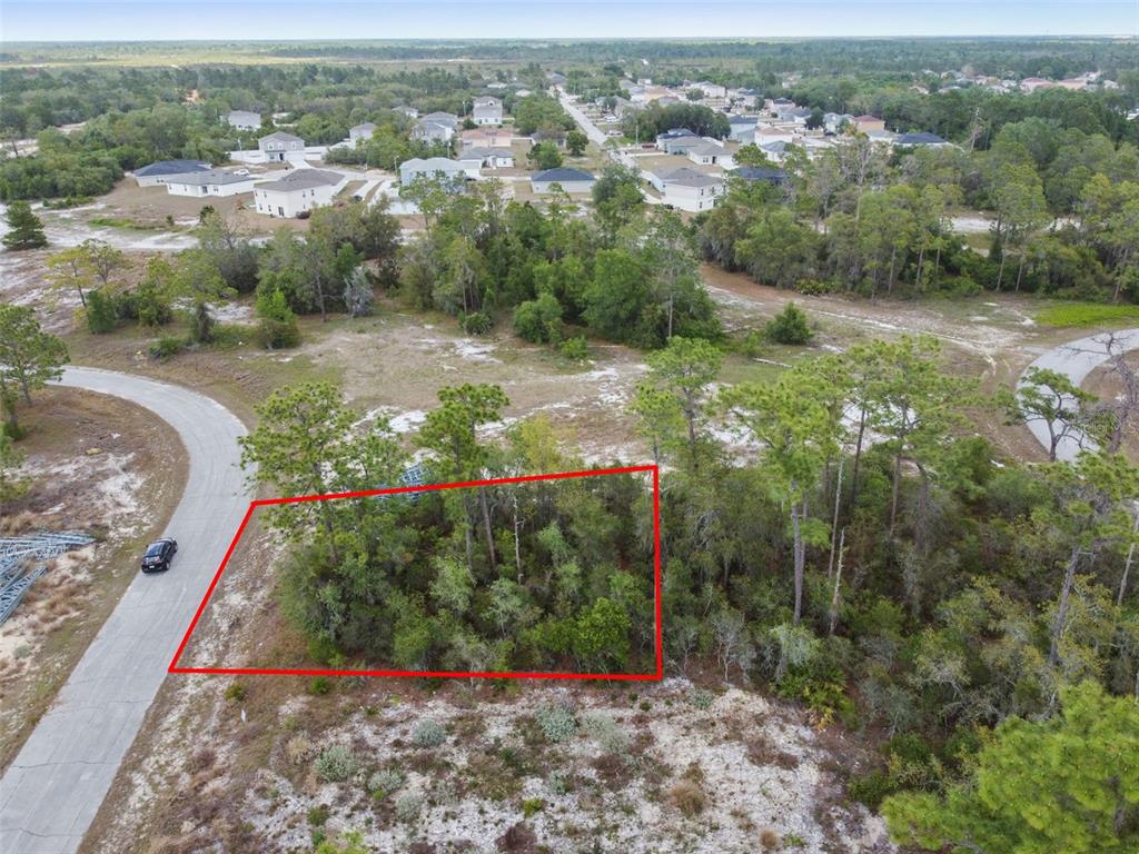 An aerial view shows a rectangular, wooded vacant lot outlined in red along a paved road — 1315 HOMOSASSA COURT, KISSIMMEE, FL