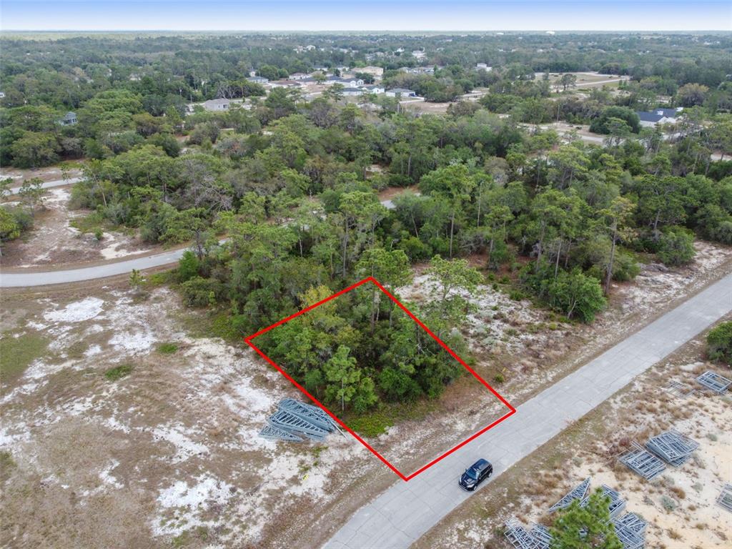 An aerial view shows a rectangular, wooded vacant lot outlined in red along a paved road — 1315 HOMOSASSA COURT, KISSIMMEE, FL
