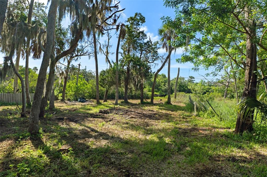 A grassy, partially cleared lot with many mature trees and Spanish moss under a blue sky — 14512 W BLACK CREEK DRIVE, CRYSTAL RIVER, FL