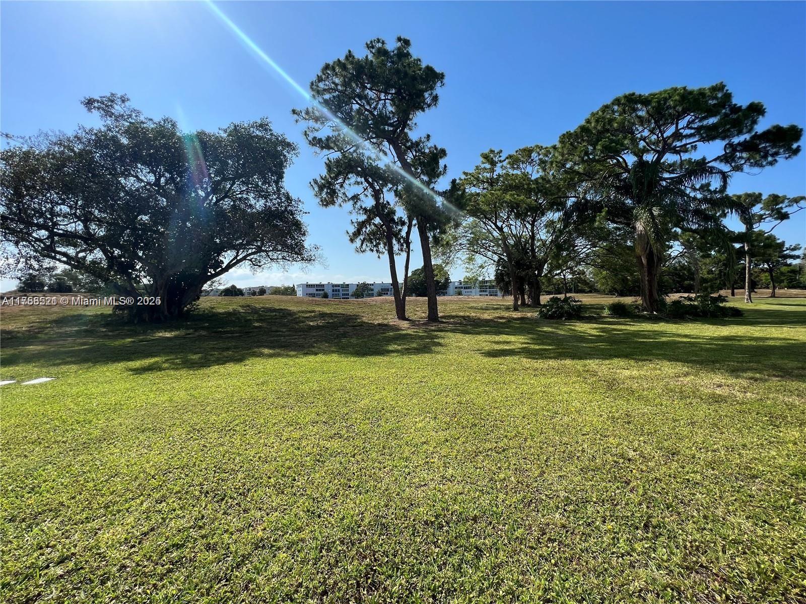 A grassy field features several large trees under a clear blue sky — 1011 Ellesmere A # 1011, Deerfield Beach FL 33442, DEERFIELD BEACH, FL