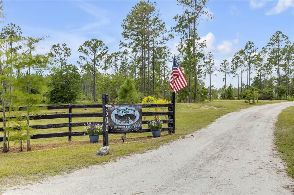 A dirt driveway leads to a gated entrance with a small pond and pine trees — 300 OMEGA RANCH ROAD, NEW SMYRNA BEACH, FL
