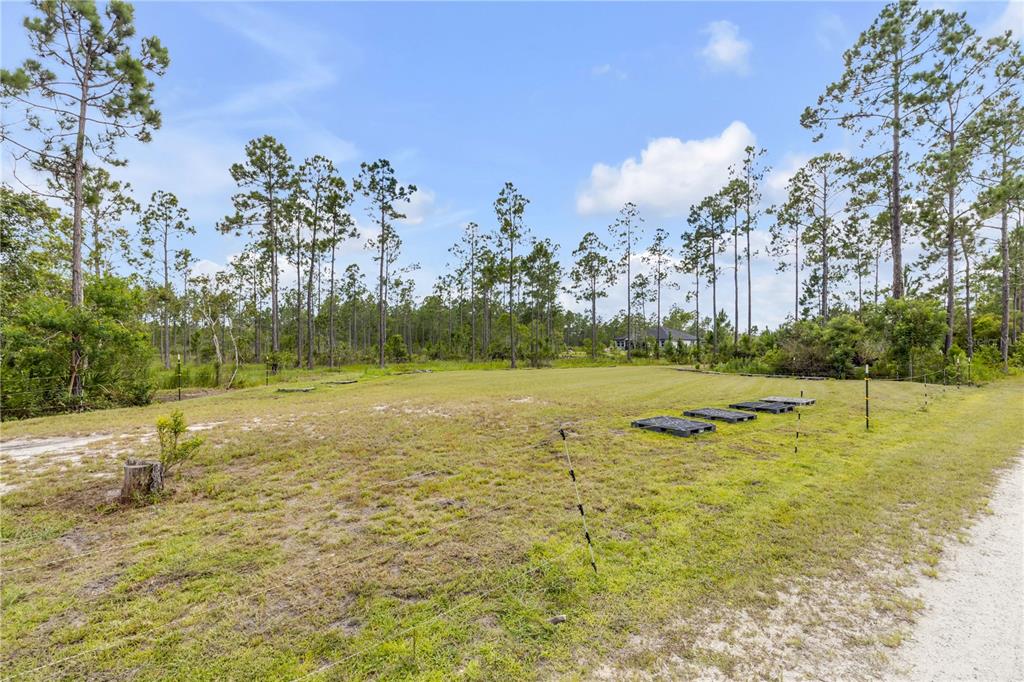 This is a floor plan showing a single-story house with four bedrooms, a large porch, and garage — 300 OMEGA RANCH ROAD, NEW SMYRNA BEACH, FL