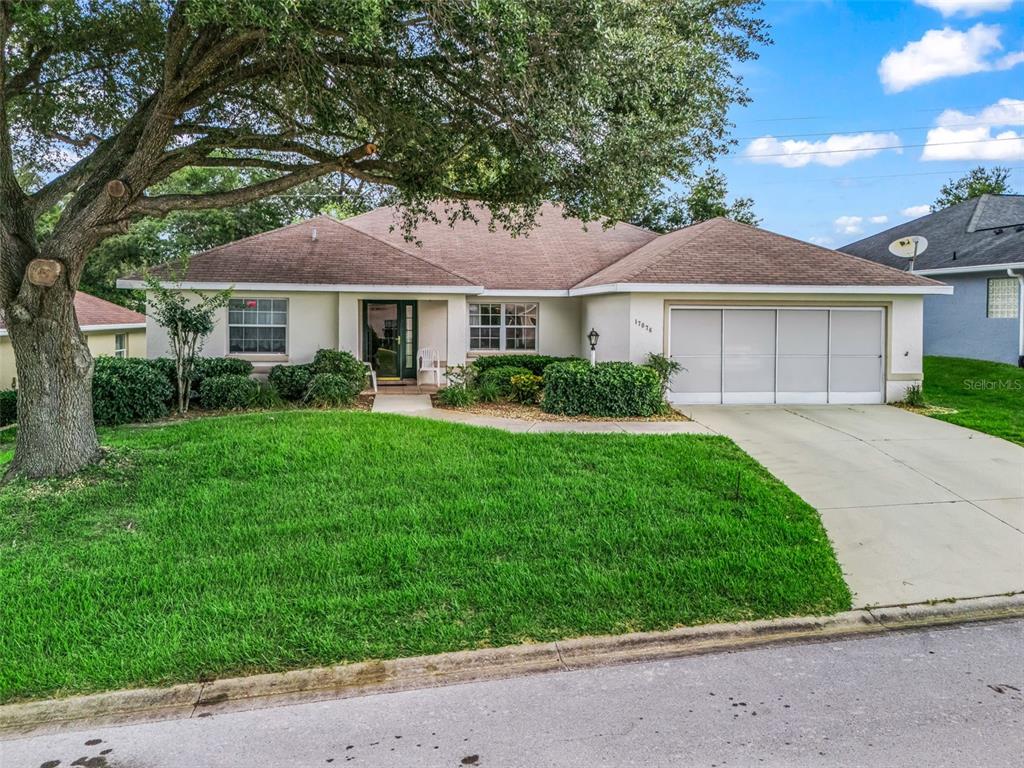 A single-story house with a brown roof, white exterior, and a large tree in front — 17076 SE 115TH TERRACE ROAD, SUMMERFIELD, FL