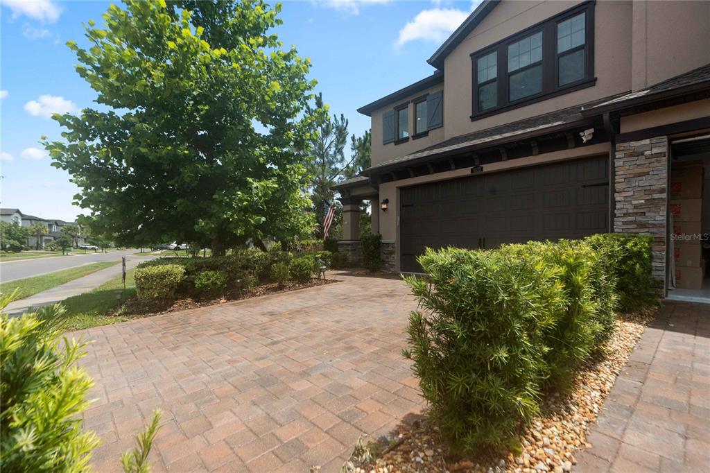 A paved driveway leads to a two-story house with a brown garage door and landscaping — 4833 SAN MARTINO DRIVE, WESLEY CHAPEL, FL