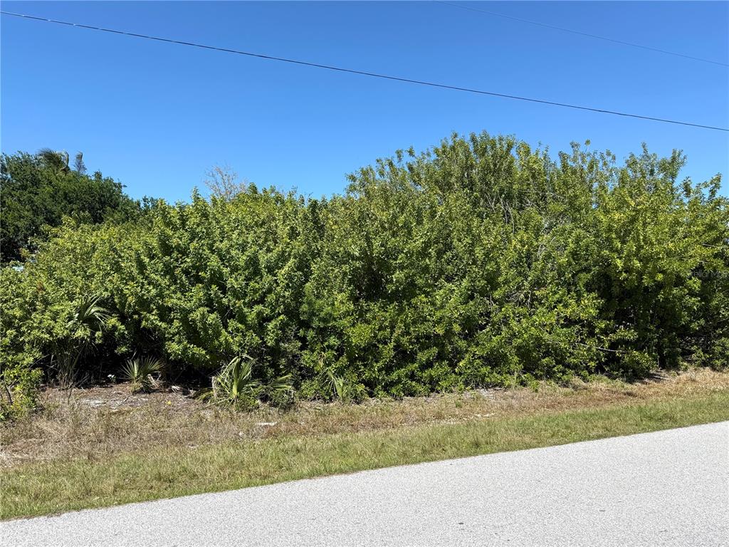 A dense thicket of green trees and shrubs borders a paved road under a clear sky — 9180 SPRING CIRCLE, PORT CHARLOTTE, FL