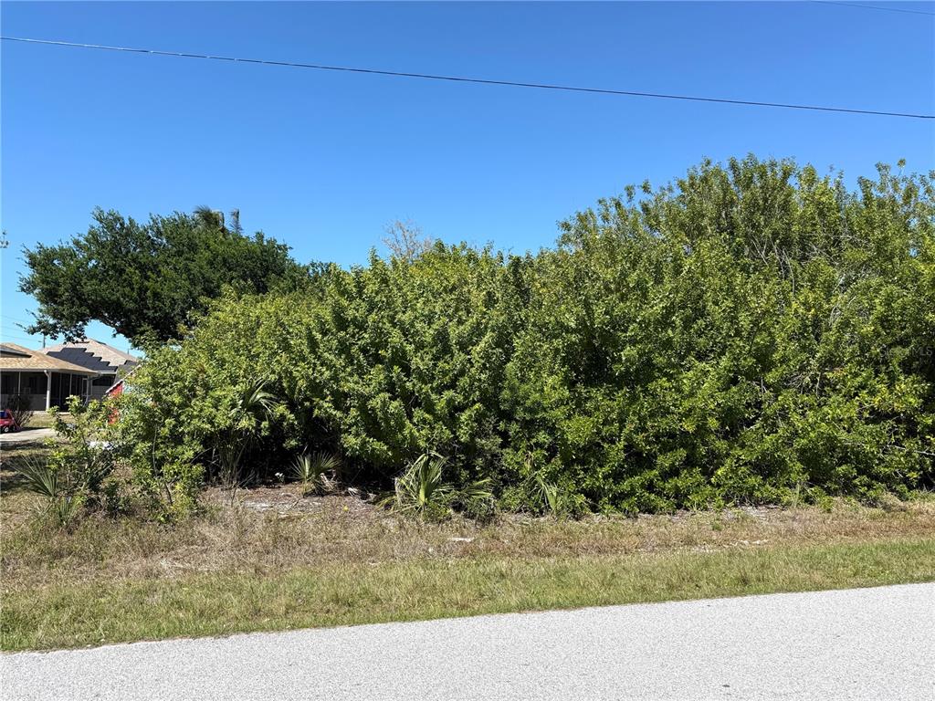 A dense thicket of green bushes and trees sits on a vacant lot beside a road — 9180 SPRING CIRCLE, PORT CHARLOTTE, FL