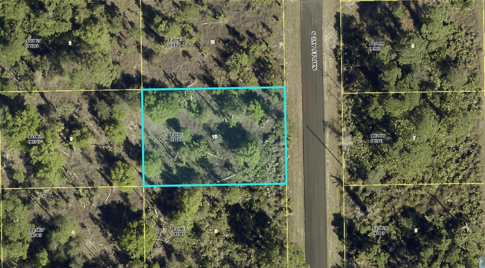 This is an aerial map view of a rectangular plot of land bordering a road — 1012 Naples Avenue, Lehigh Acres FL 33974, LEHIGH ACRES, FL