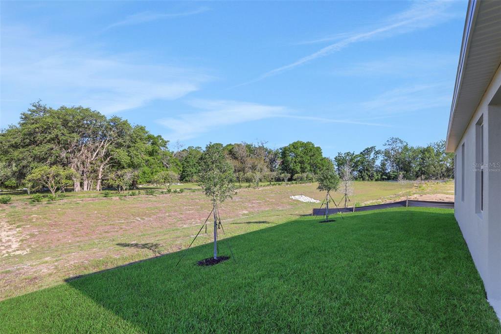 A grassy backyard extends toward a line of trees under a clear blue sky — 2920 SUPERMARINE ROAD, TAVARES, FL