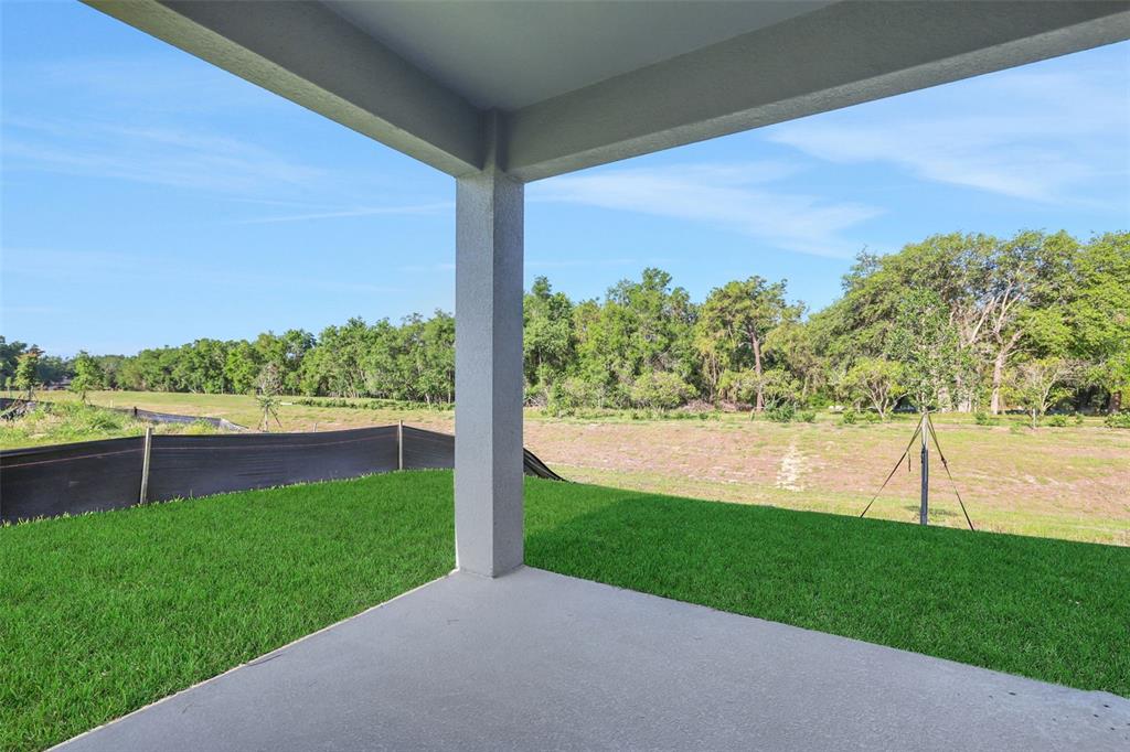 A concrete patio overlooks a grassy backyard with a black silt fence and distant trees — 2920 SUPERMARINE ROAD, TAVARES, FL
