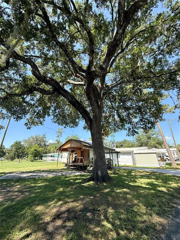 A large oak tree stands in front of a small house with a porch — 2092 CULBREATH ROAD UNIT D24, BROOKSVILLE, FL