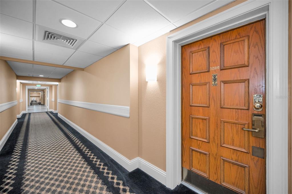 A wooden door with the number 3089 is located in a carpeted hotel-style hallway — 36750 US HIGHWAY 19 N UNIT 20-117, PALM HARBOR, FL