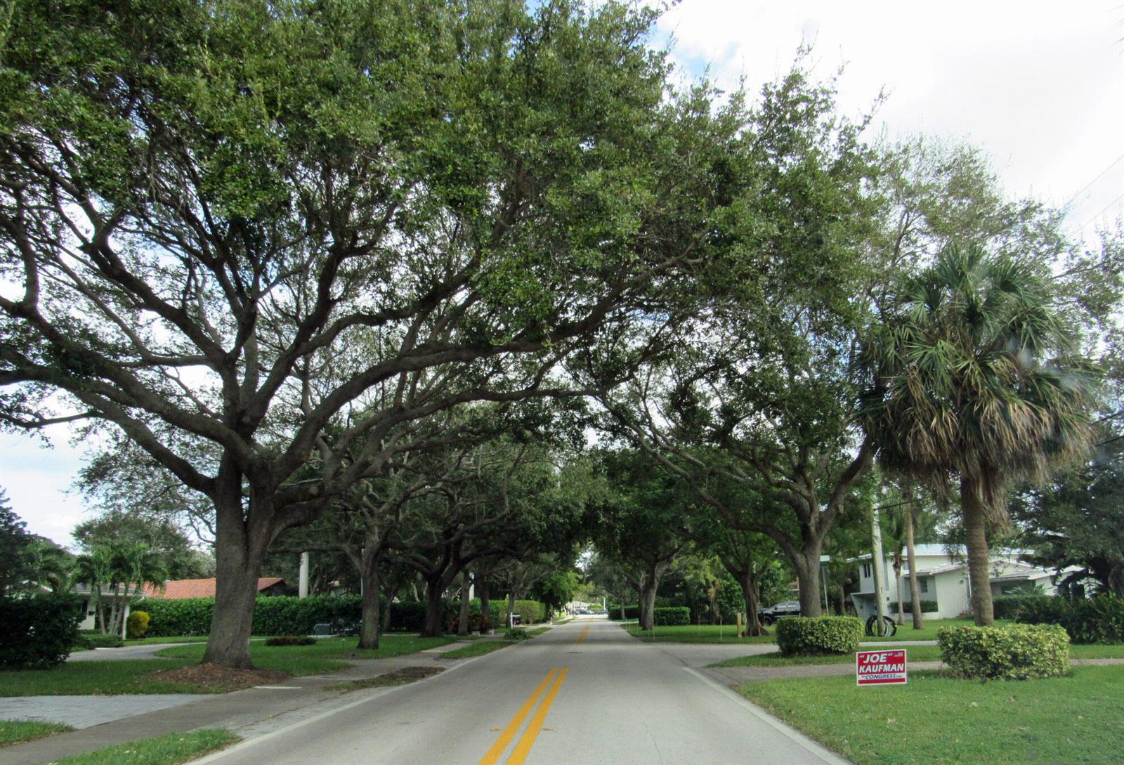 A quiet residential street is lined with large, mature trees forming a canopy overhead — 1911 NE 27th Court # 3, Lighthouse Point FL 33064, LIGHTHOUSE POINT, FL