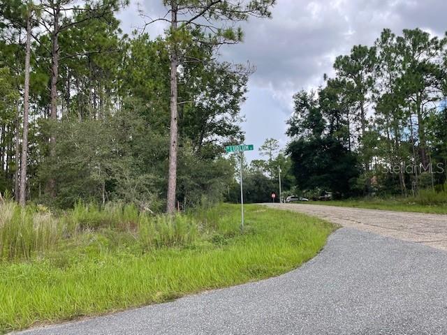 A street sign for Ludlum Drive stands at a corner near a wooded area — 932 W LUDLUM STREET, DUNNELLON, FL