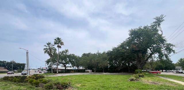 A grassy vacant lot with several trees and palm trees under a cloudy sky — 101 W MAIN STREET, APOPKA, FL