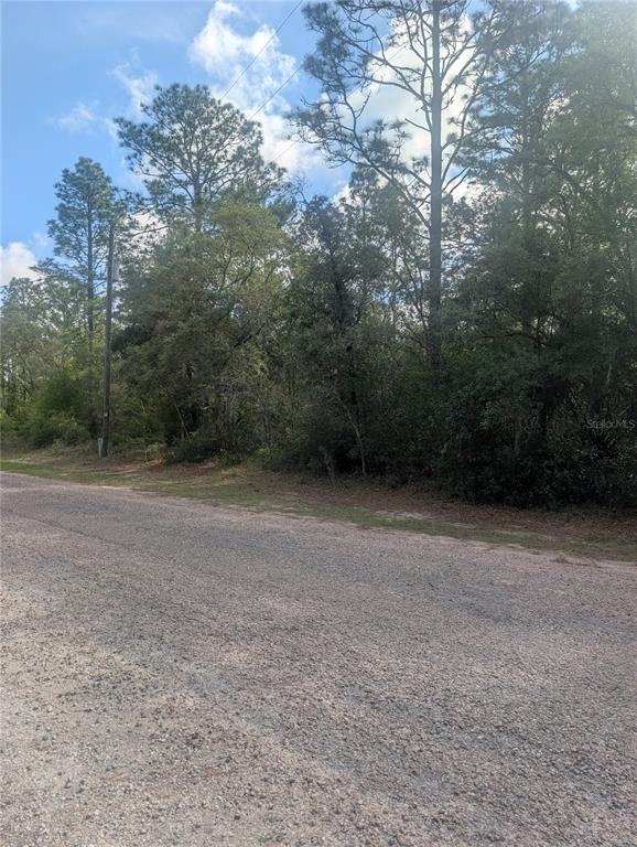 A gravel road runs alongside a wooded lot with tall pine and oak trees — 8791 N FOLLAND DRIVE, DUNNELLON, FL