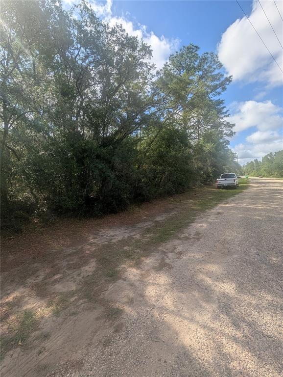 A gravel road runs alongside a wooded lot with a white pickup truck parked nearby — 8791 N FOLLAND DRIVE, DUNNELLON, FL