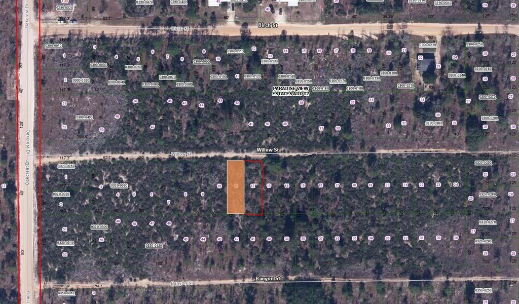 WILLOW ST STREET, INTERLACHEN, FL — photo 2 of 3