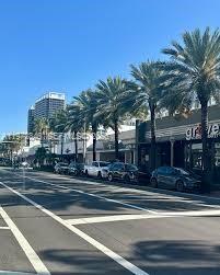 A street view shows a row of palm trees in front of commercial buildings and cars — HARDING AVE HARDING KOSCHER RESTAURANT, Surfside FL 33154, SURFSIDE, FL