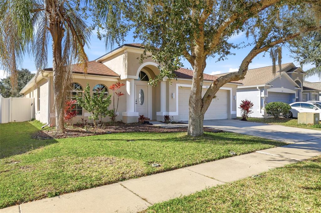 A single-story beige house with a two-car garage, arched entryway, and a large front tree — 4145 MEDBURY DRIVE, WESLEY CHAPEL, FL