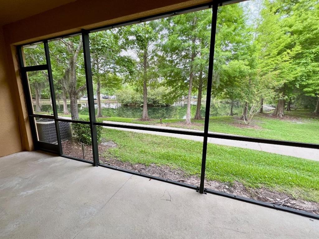 A screened-in concrete patio overlooks a grassy lawn, a sidewalk, and a small pond — 13801 RIVER FISH CT, TAMPA, FL