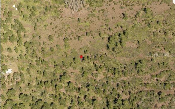 HOLOPAW GROVES ROAD, ST CLOUD, FL — photo 2 of 6