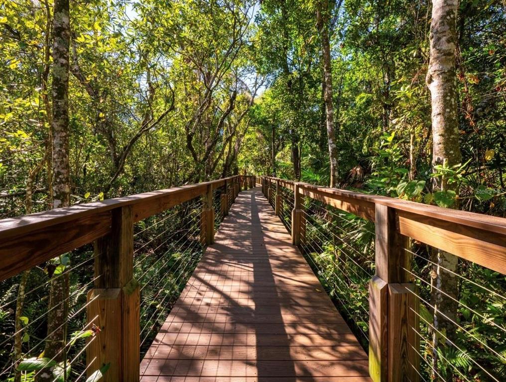 A wooden boardwalk with railings winds through a lush, sunlit forest — 5443 BAYTOWNE PLACE, OVIEDO, FL