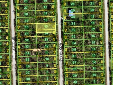 This is an aerial map showing a grid of undeveloped residential lots along two streets — 12301 LOS OLAS DRIVE, PUNTA GORDA, FL