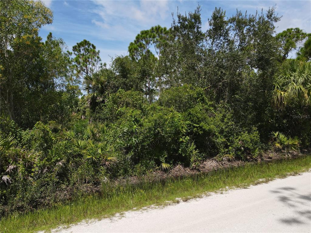 A dense, wooded lot borders a sandy road under a blue sky — 12301 LOS OLAS DRIVE, PUNTA GORDA, FL
