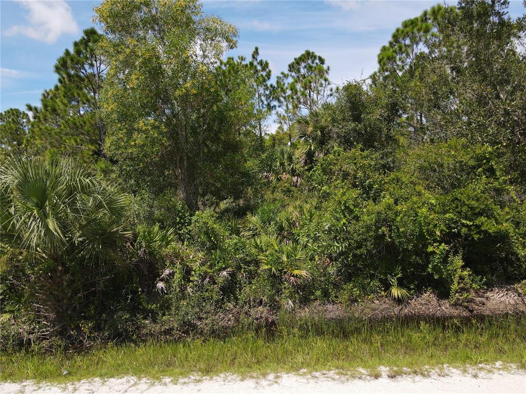A dense, wooded lot with native Florida vegetation and palm trees borders a sandy road — 12301 LOS OLAS DRIVE, PUNTA GORDA, FL