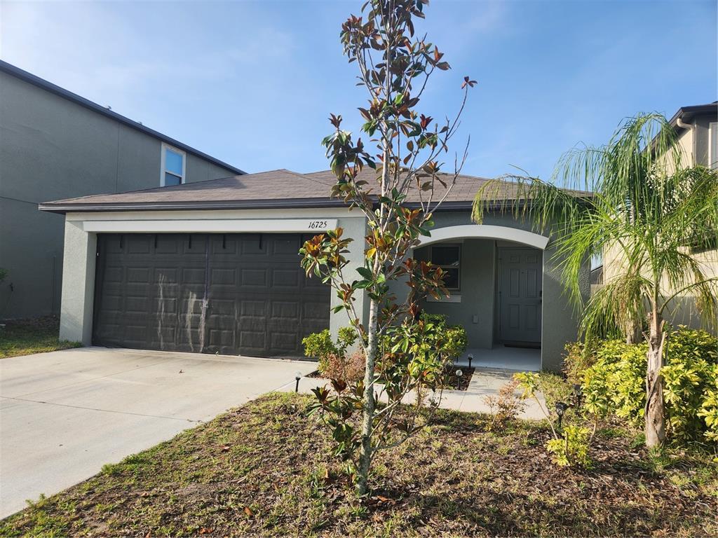A single-story house with a dark garage door, a front entrance, and a small tree — 16725 DELIA STREET, WIMAUMA, FL