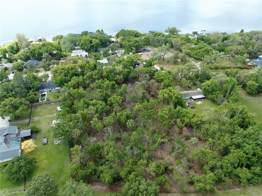 An aerial view shows a wooded residential lot situated near a large lake — 7343 LAKE OLA DRIVE, MOUNT DORA, FL