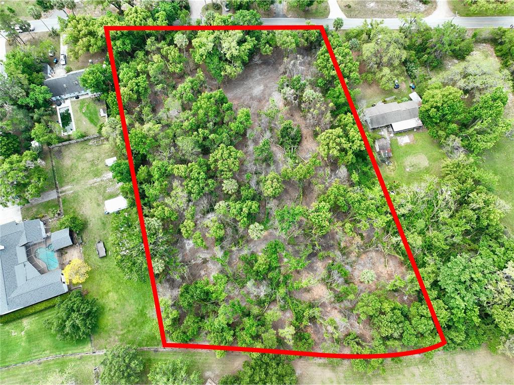 An aerial view shows a rectangular, tree-covered vacant lot outlined in red — 7343 LAKE OLA DRIVE, MOUNT DORA, FL