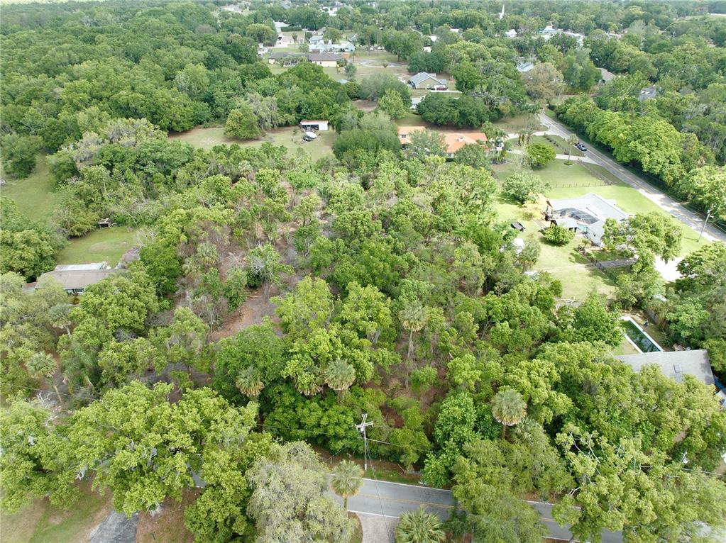An aerial view shows a heavily wooded, undeveloped lot bordered by a road and houses — 7343 LAKE OLA DRIVE, MOUNT DORA, FL