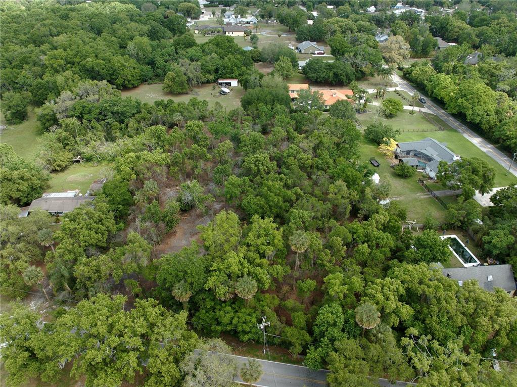 An aerial view shows a wooded residential lot surrounded by houses and a paved road — 7343 LAKE OLA DRIVE, MOUNT DORA, FL
