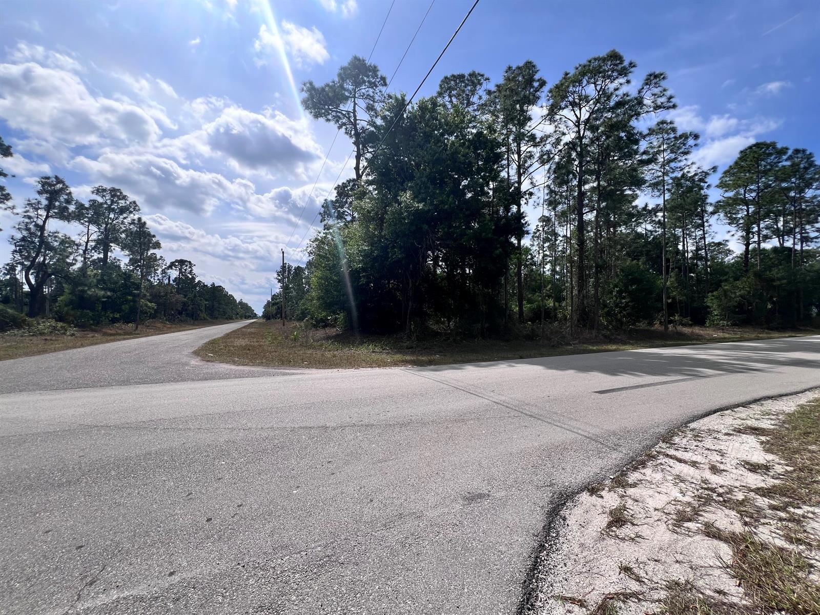 An asphalt road intersection is surrounded by pine trees under a partly cloudy sky — 4206 E 10th Street, FL 33972, FL