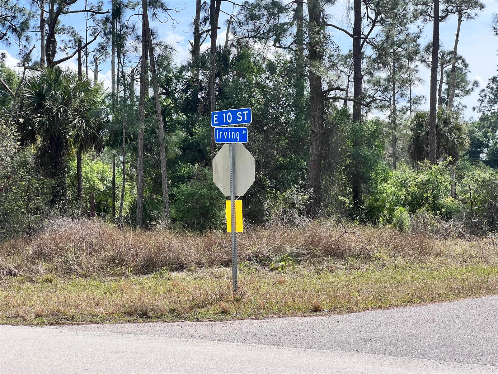 A street sign for E 10 St and Irving Av stands at a road intersection — 4206 E 10th Street, FL 33972, FL