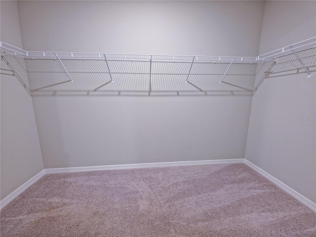 A walk-in closet features beige carpet, neutral walls, and white wire shelving — 3301 WEITZEL DRIVE, HAINES CITY, FL