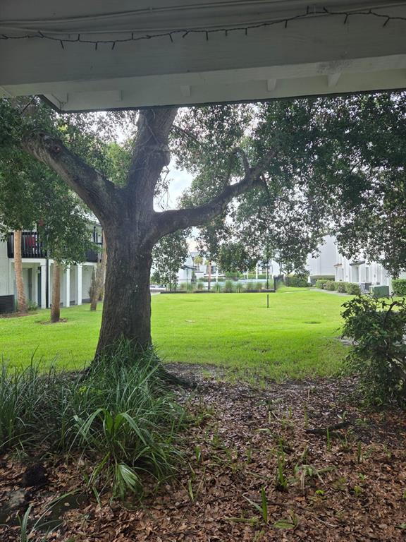 A large oak tree stands in a grassy courtyard between two apartment buildings — 4203 S SEMORAN BOULEVARD UNIT 4, ORLANDO, FL